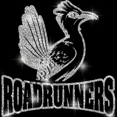 GLT32 SILVER GLITTER Thumbnail